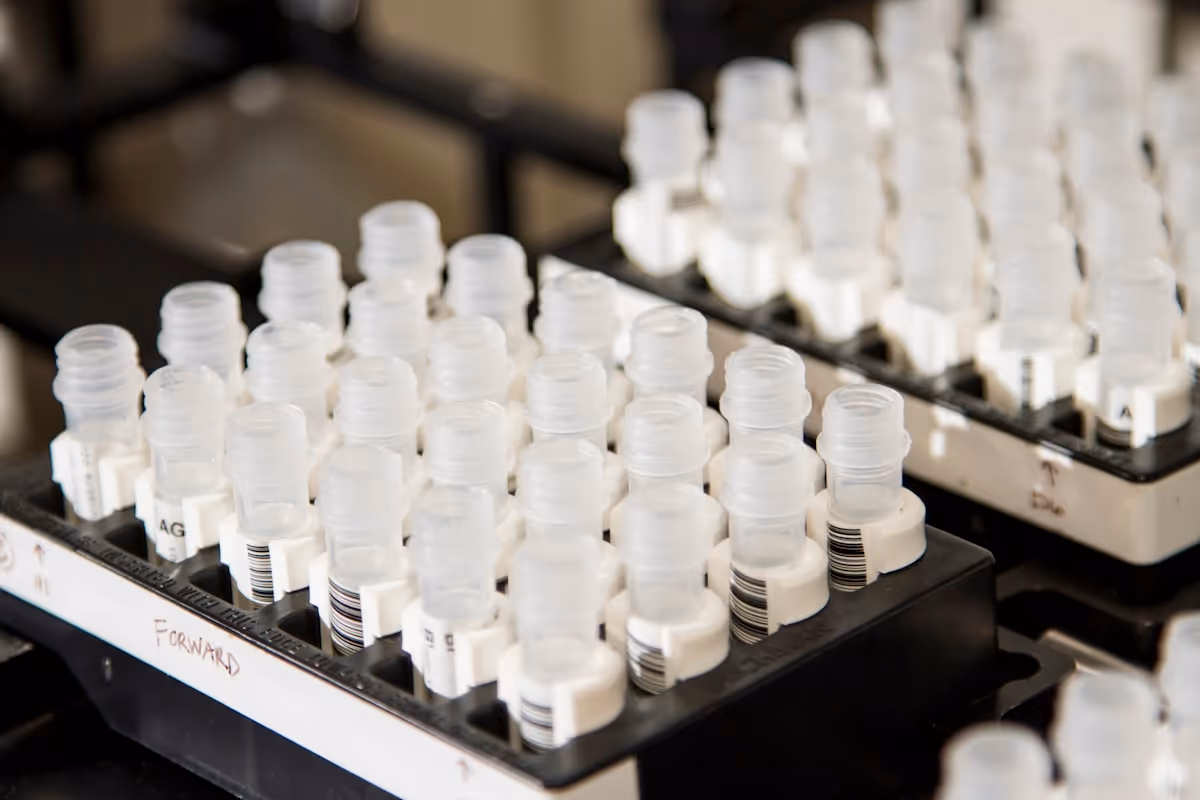 Tubos plásticos transparentes organizados em rack de laboratório de pesquisa para análise molecular sem identificação de pacientes