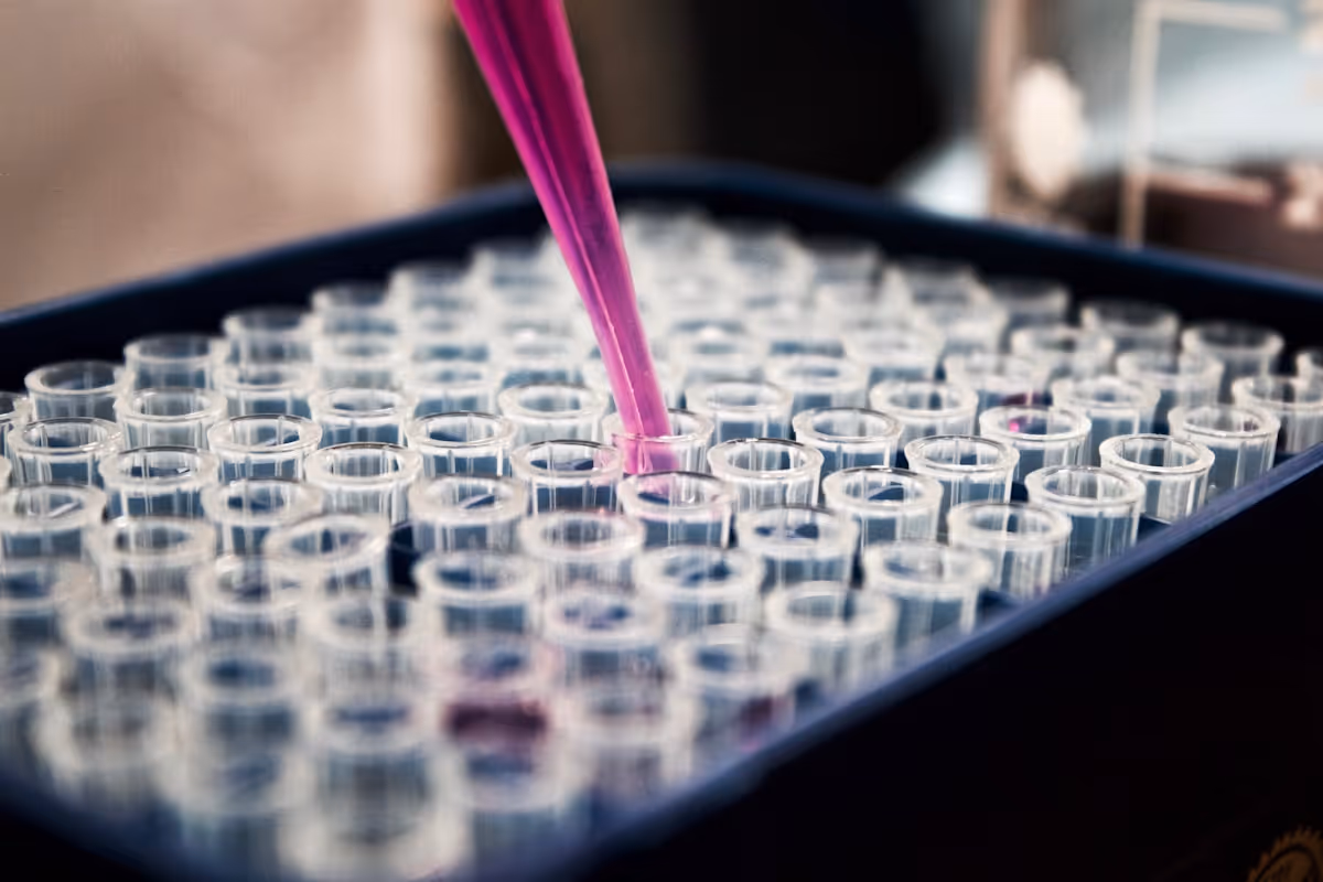 Pipeta adicionando líquido em tubos de ensaio em laboratório de pesquisa